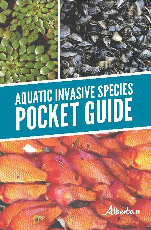 A picture of some fish and text that reads " aquatic invasive species pocket guide ".