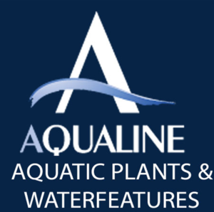 A blue and white logo of aqualine aquatic plants