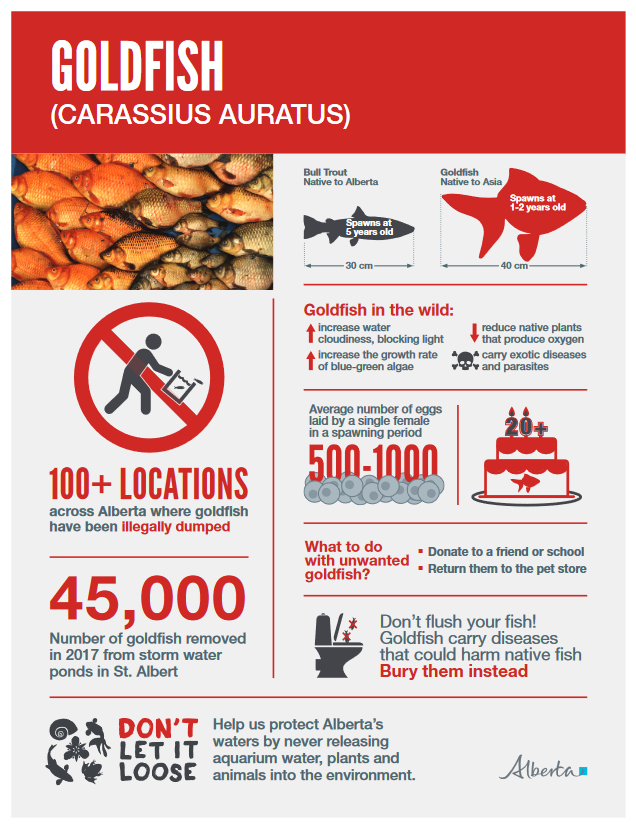 A poster with information about the dangers of eating fish.