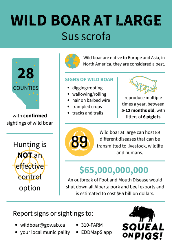 A picture of the infographic with information about hunting.
