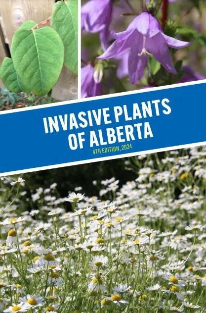 A close up of flowers with text that reads " invasive plants of alberta ".