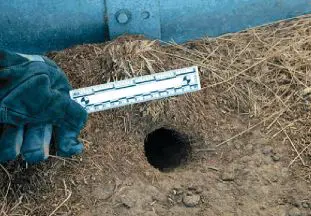 5cm rat hole