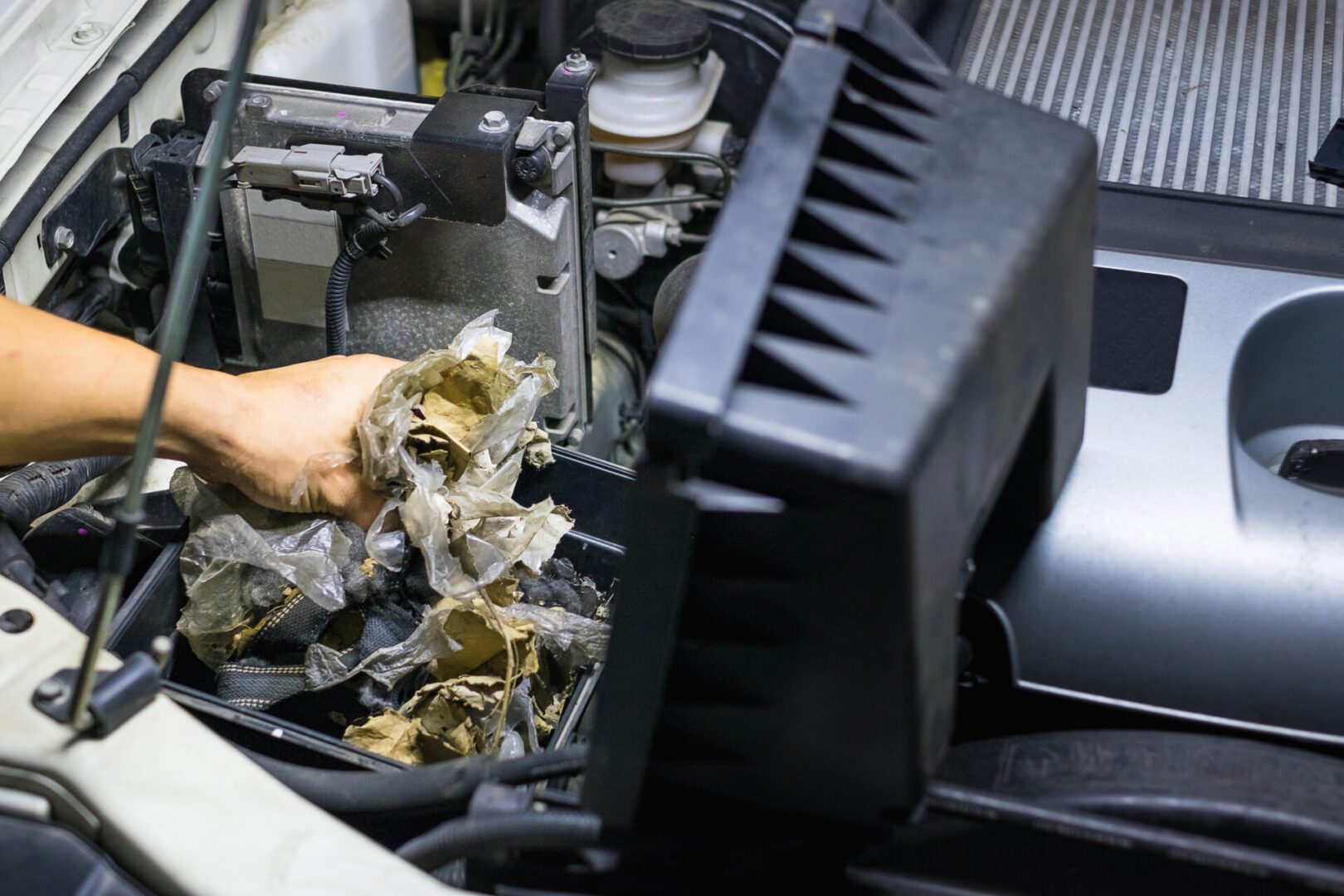 Auto mechanic clean dirty air filter form mouse.It try collect garbage to build rat's nest in car.