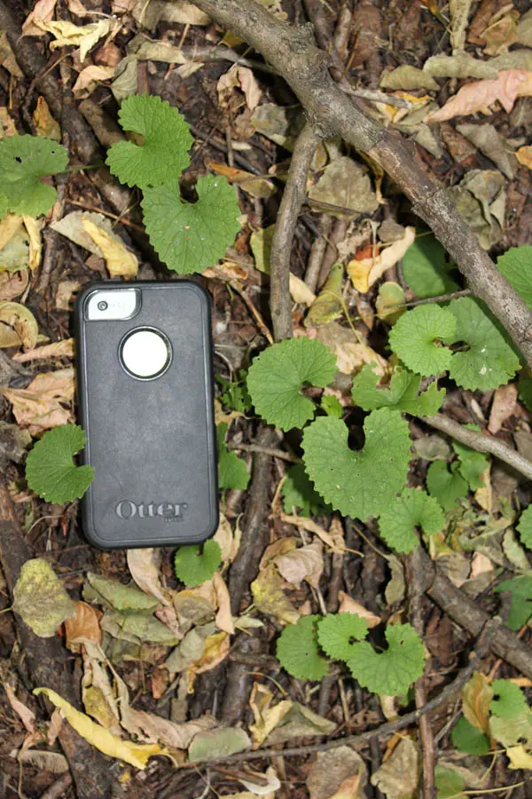 A cell phone is laying on the ground in the grass.