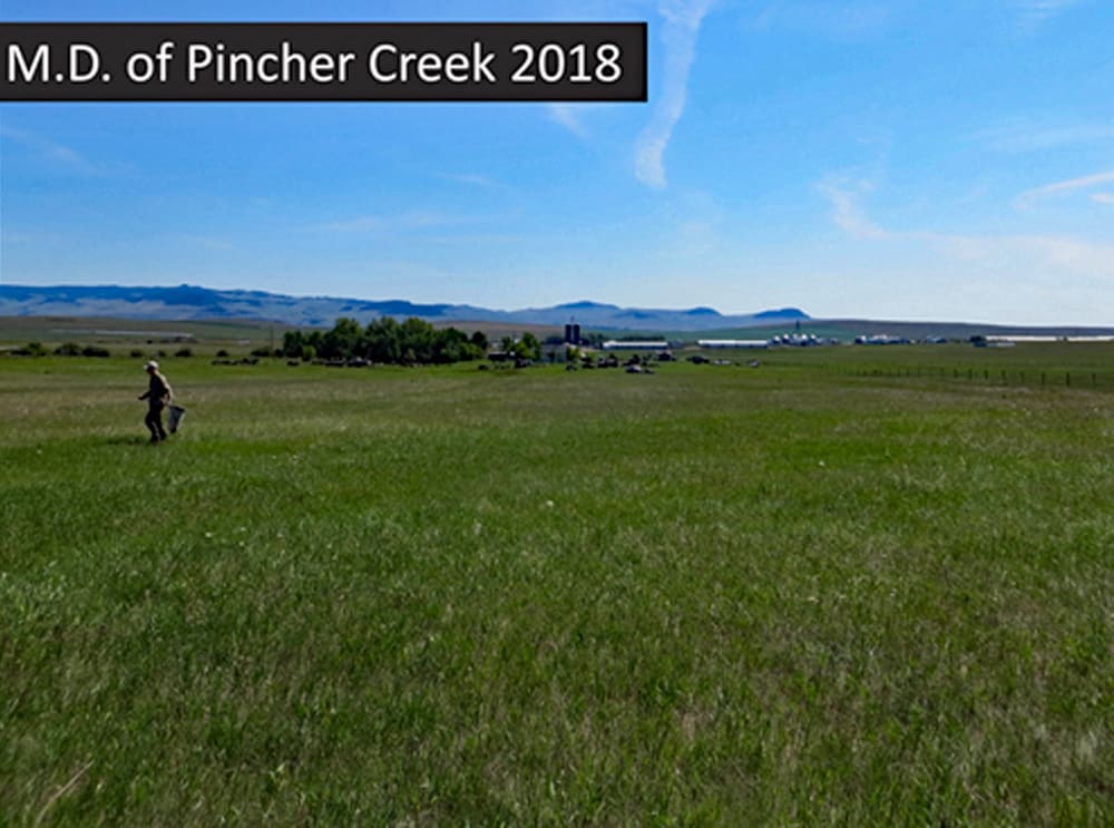 MD of Pincher Creek 2018