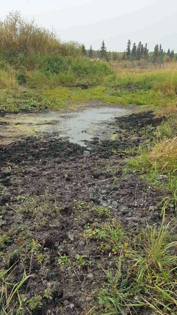 Muddy ground with small pond.