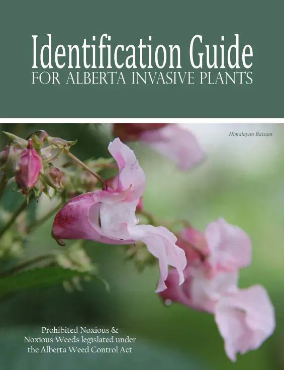 Identification Guide Invasive Plants