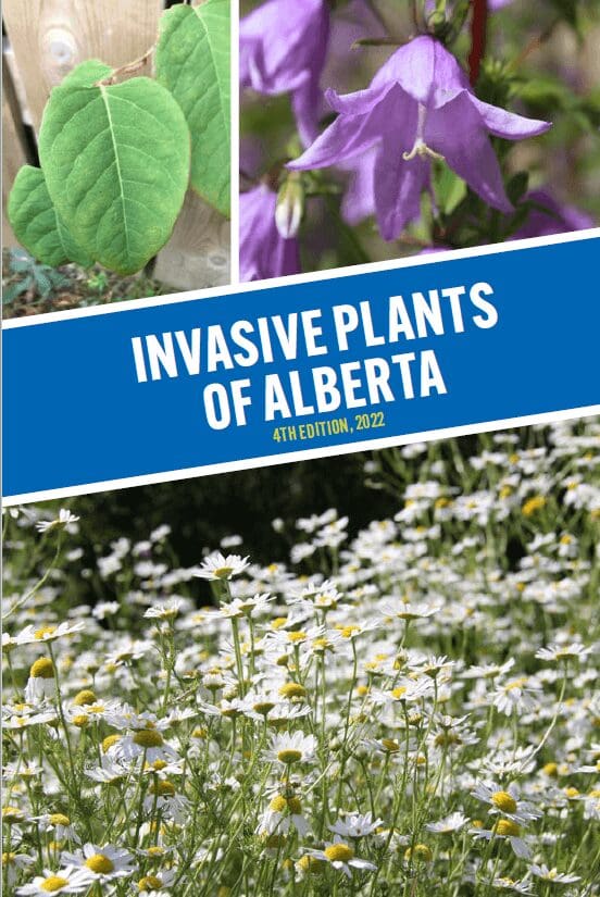 A collage of photos with the words invasive plants of alberta in front.