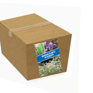 A box with some flowers in it