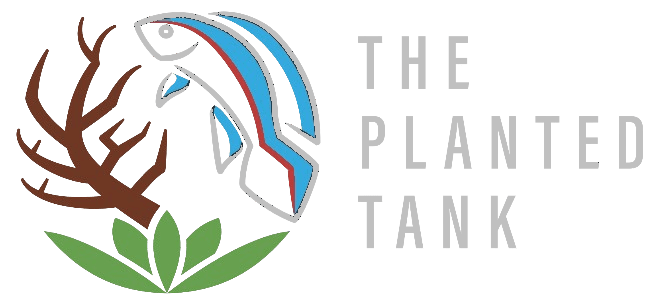 The Planted Tank