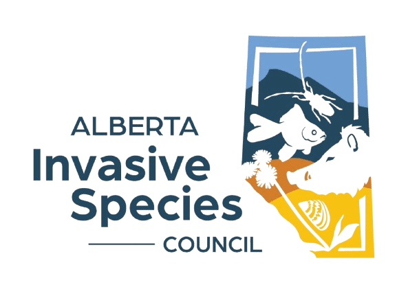 69e8f5aa35c33_AISC-Logo-2026-4C-bg