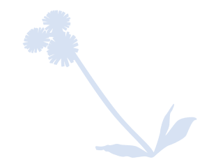 69fe395c1bcdd_13Weed-Sky (1)
