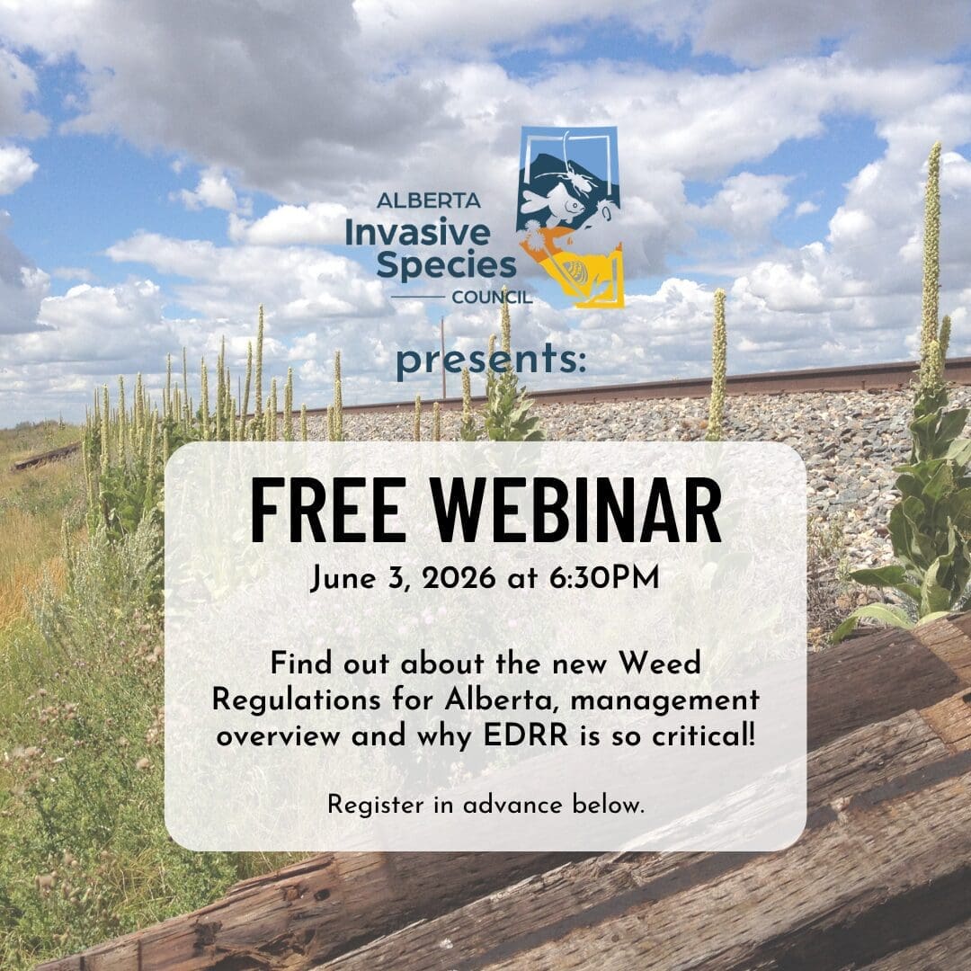 Weed Regulations Webinar (1)