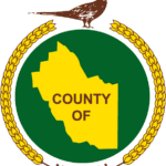 2019-11-21 County of Newell - Emblem Only (Color)