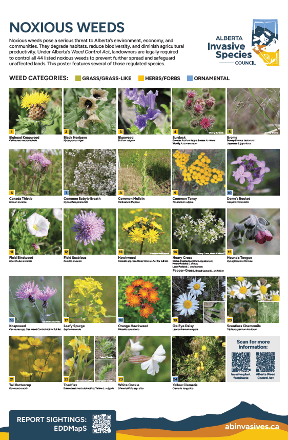Noxious Weeds Poster thumbnail 2026