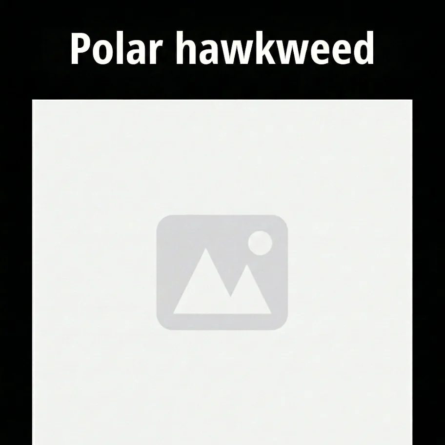 unnamed (1)