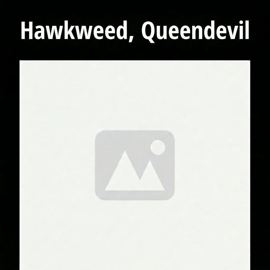 unnamed